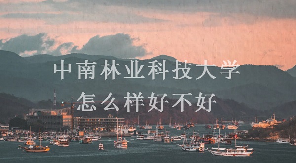 ҵƼѧôò?ȫרҵڱ