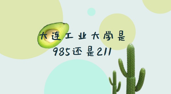 ҵѧ985211?ȫ985/211ԺУ