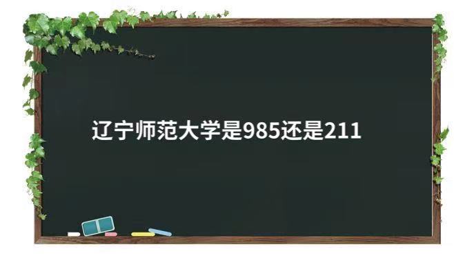 ʦѧ985211ȫ985211ѧ