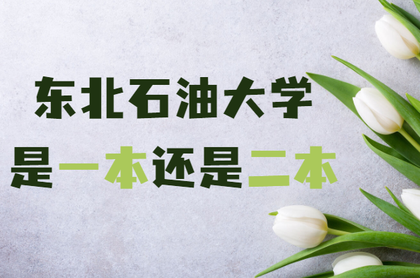 1647238090114826.png 东北石油大学是几本,是一本还是二本