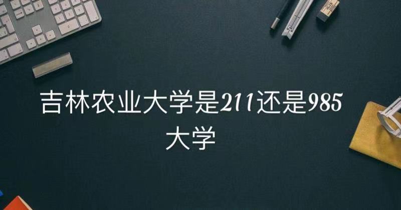 ũҵѧ211985ѧ(ʡ985211ѧ