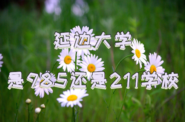 ӱߴѧ985211ѧУʡ985/211ԺУһ