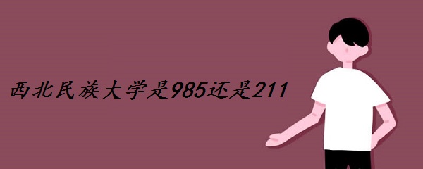 ���������ѧ��985����211��ѧ����������ʡ985��211��ѧ������