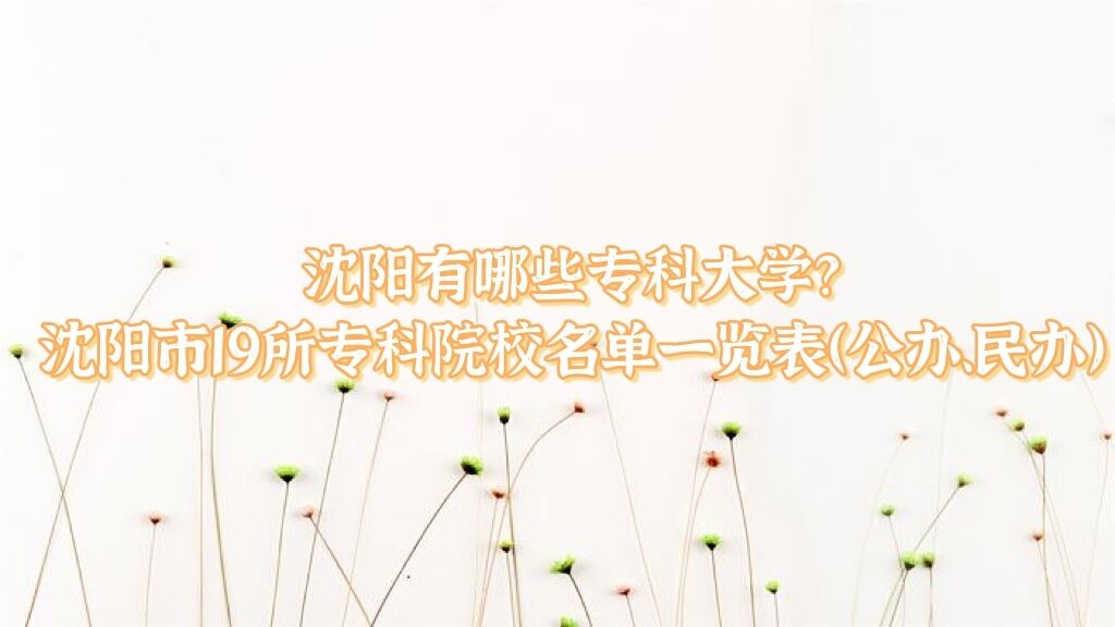 Щרƴѧ19רԺУһ졢죩