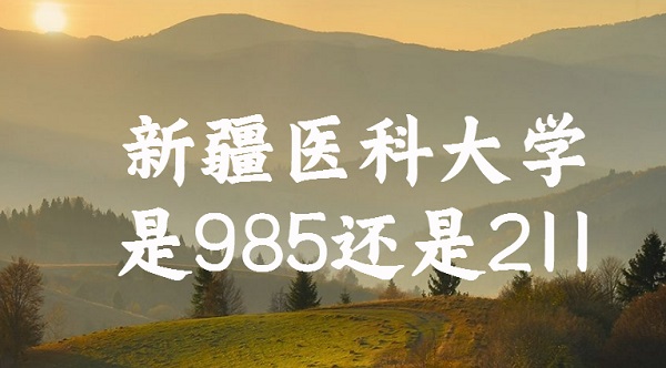 ½ҽƴѧ985211½985/211ԺУ