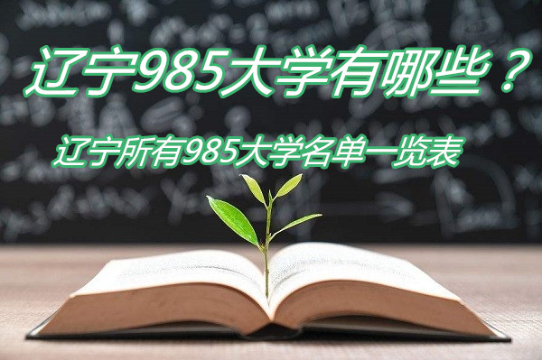 985ѧЩ985ѧһ