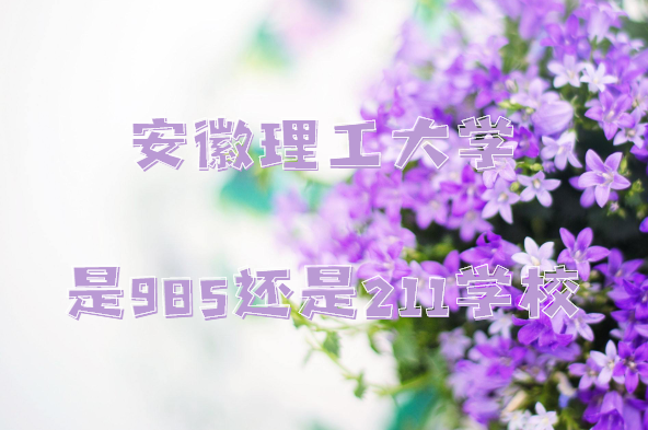 ѧ985211ѧУʡ985/211ԺУһ