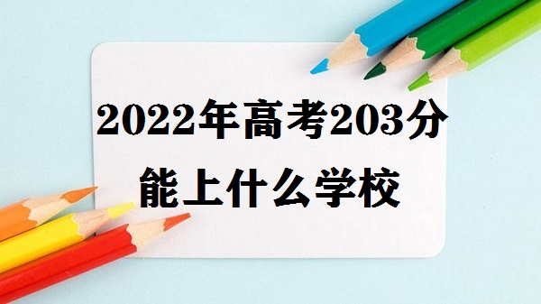 2023߿203ʲôѧУ ߿203ֱʲôרѧԺ