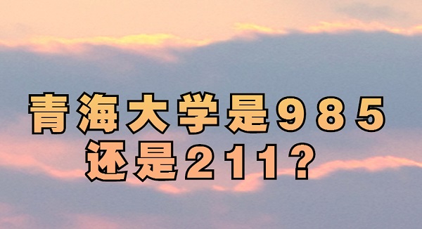 ຣѧ985211ѧຣʡ985/211ԺУ