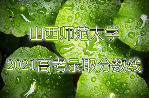 ɽʦѧȫڼ2023µ181