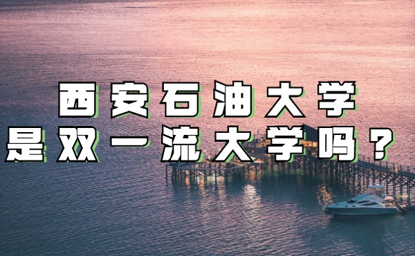 ʯʹѧ˫һѧЩѧѡ