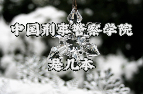 1648193230528215.png 中国刑事警察学院是几本?一本还是二本?(附辽宁本科院校一览表