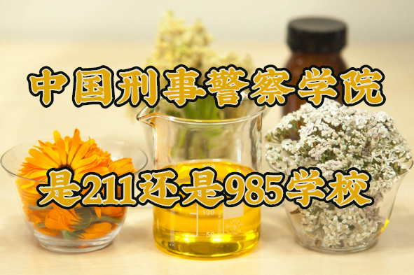 1648194147223765.png 中国刑事警察学院是211还是985学校?(附辽宁省985/211院校一览
