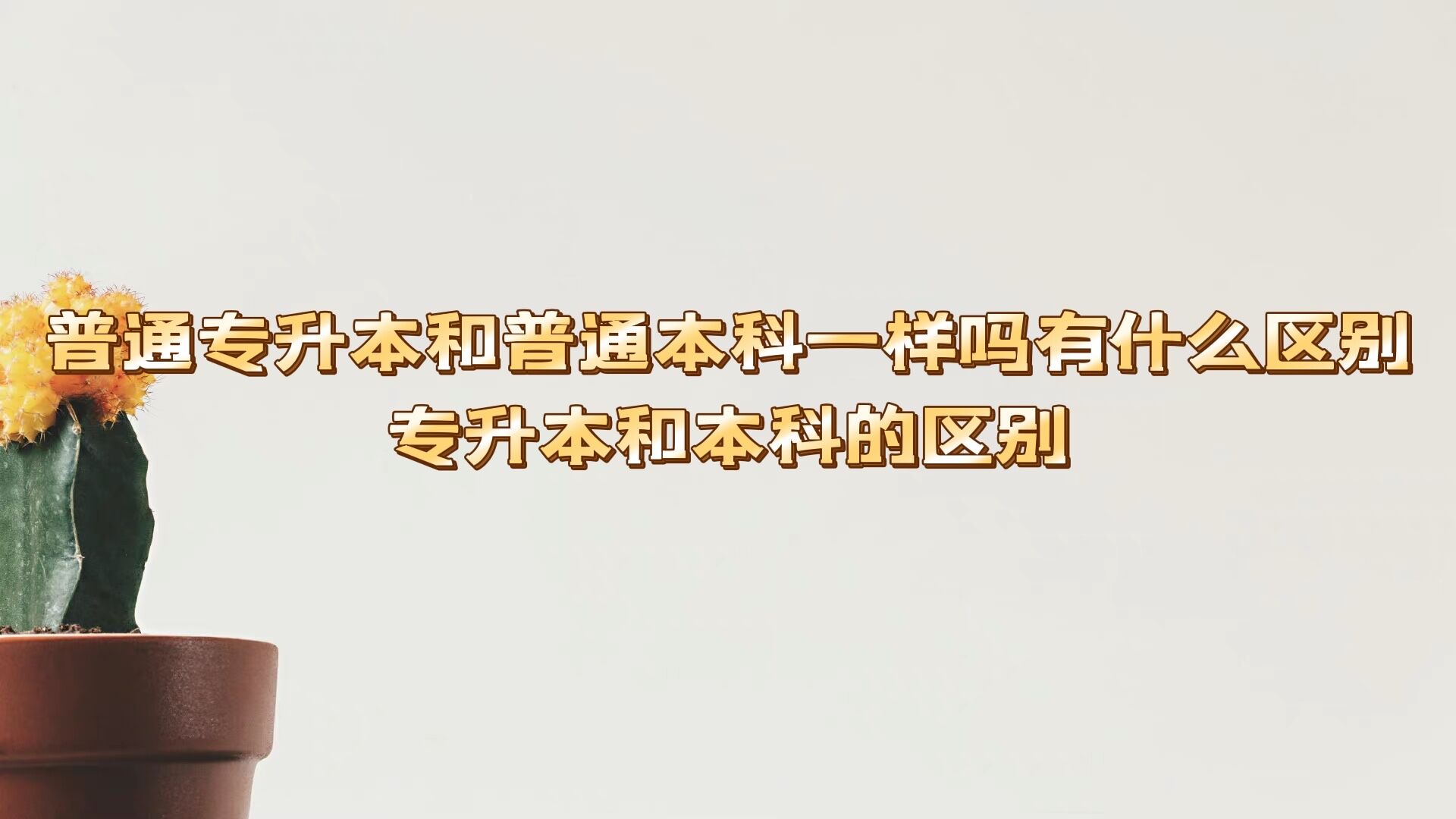 ͨרͨһʲô רͱƵ