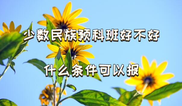 ԤưòãԤưʲôԱ