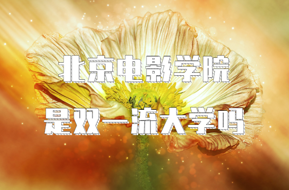 ӰѧԺ˫һѧЩѧѡ