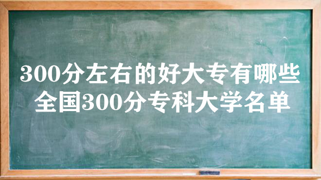 300ҵĺôרЩ ȫ300רƴѧһ