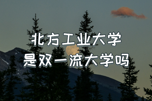 ҵѧ˫һѧЩѧѡ
