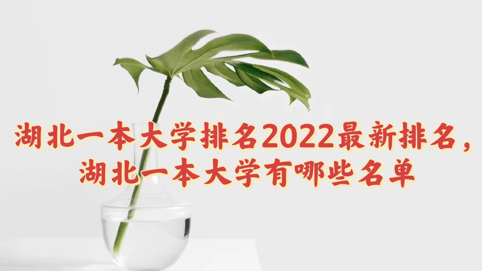 һѧ2023һѧЩ