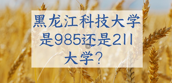 Ƽѧ985211ѧ985211ԺУ