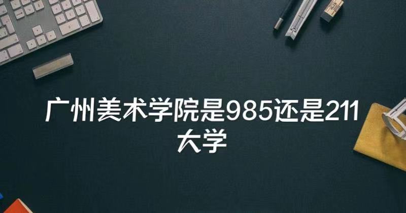 ѧԺ985211ѧ㶫ʡ985211ѧ