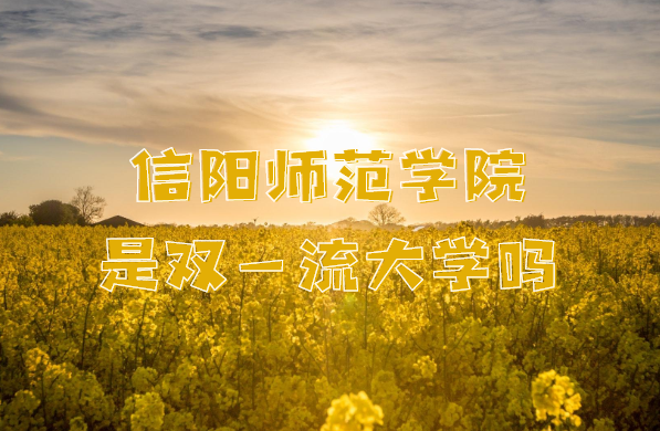 ʦѧԺ˫һѧЩѧѡ