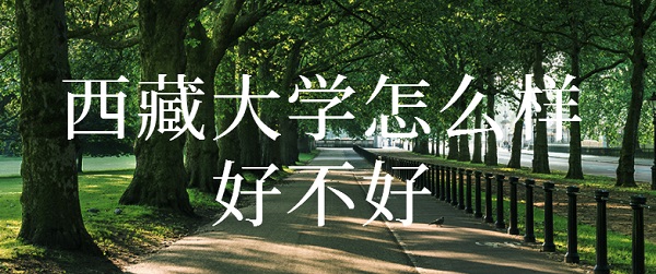 ���ش�ѧ��ô���ò�������У��ȫ������������רҵ���ڱ����ۣ�