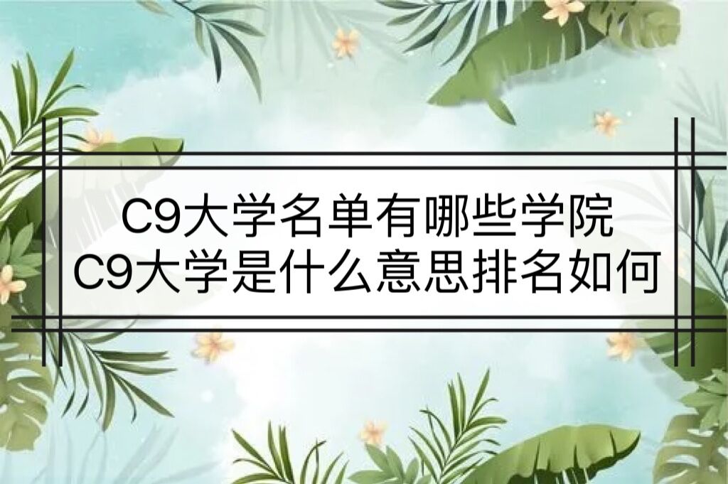 C9ѧЩѧУ C9ѧʲô˼