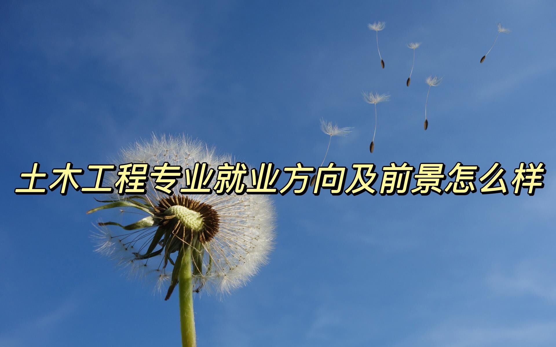 1649404488595043.jpg 2023年土木工程专业就业方向及前景怎么样?