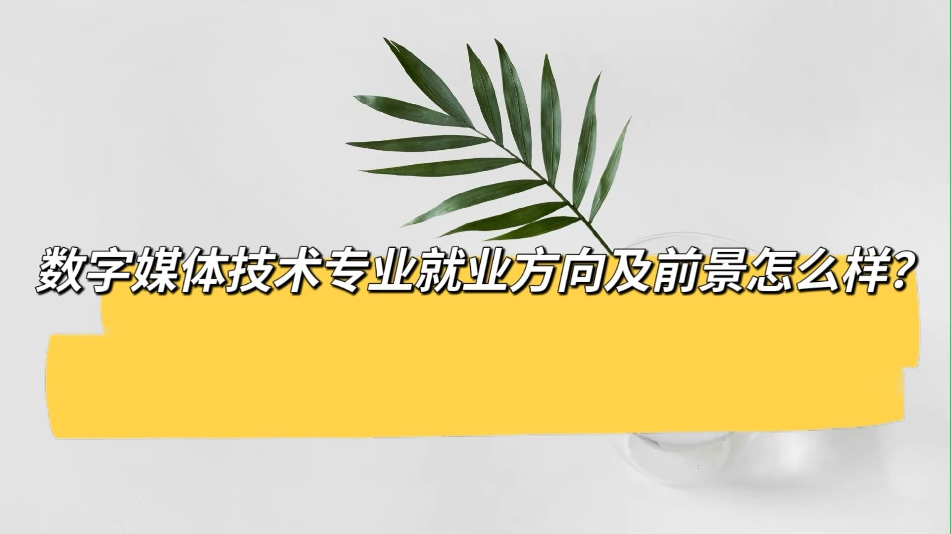 2023ý弼רҵҵǰô