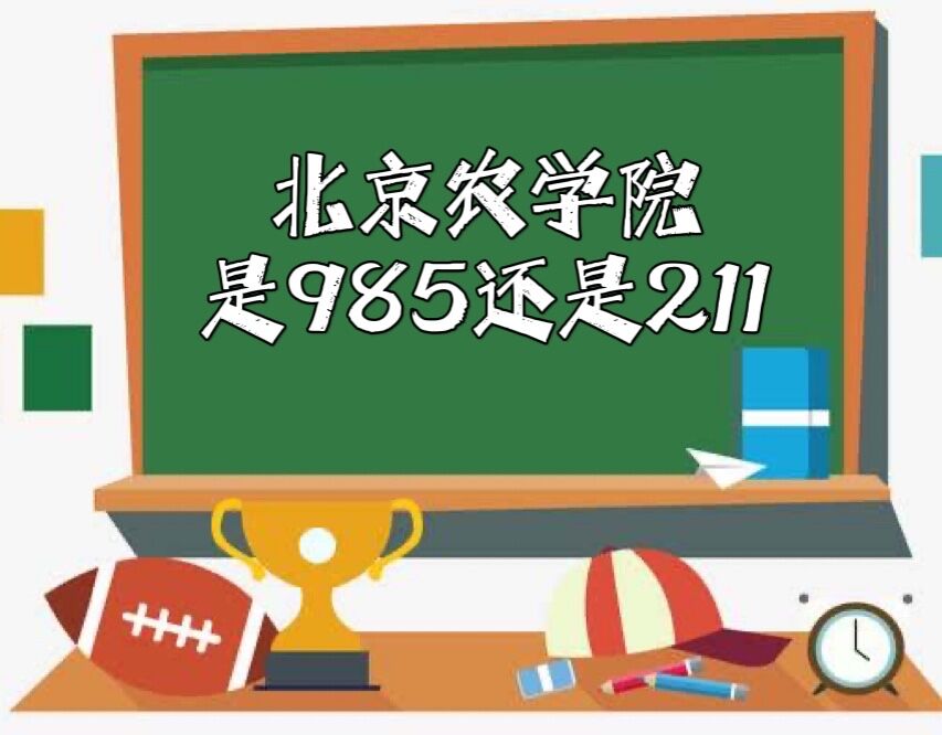 ũѧԺ985211ѧ985/211У