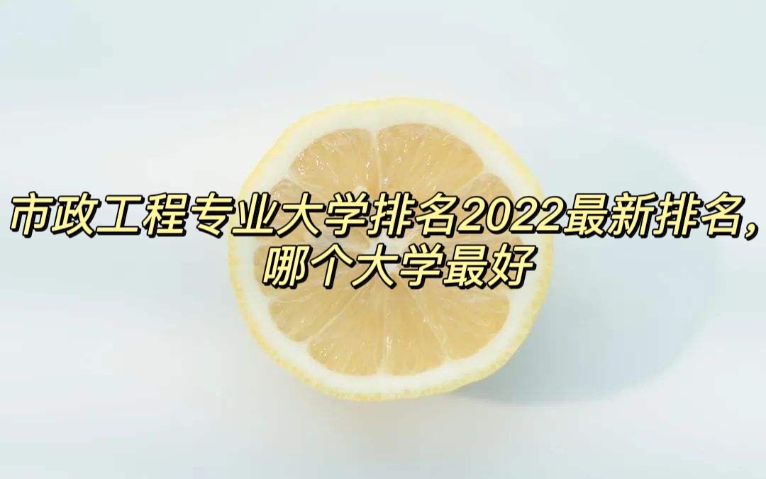 רҵѧ2023ĸѧã