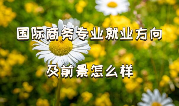 רҵҵǰô
