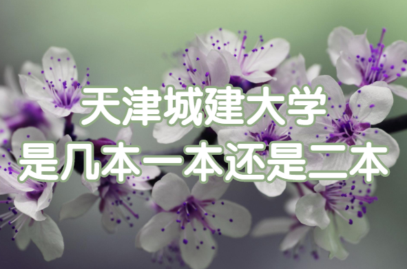 ǽѧǼһǶбԺһ