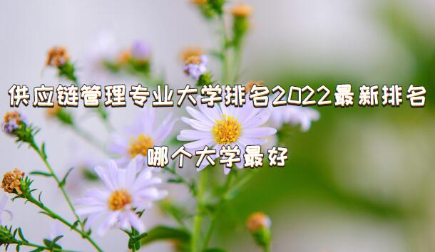 ��Ӧ������רҵ��ѧ����2023�����������ĸ���ѧ��ã�