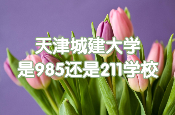 ǽѧ985211ѧУ985/211ԺУһ