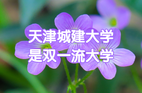 ǽѧ˫һѧЩѧѡ
