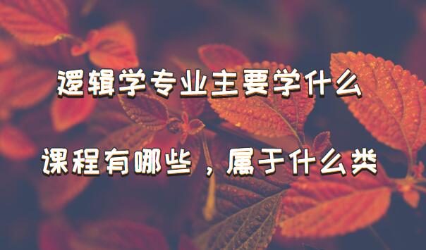߼ѧרҵҪѧʲôγЩʲôࣿ