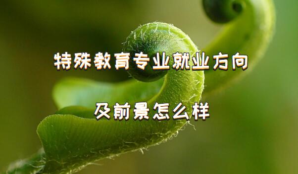 רҵҵǰô