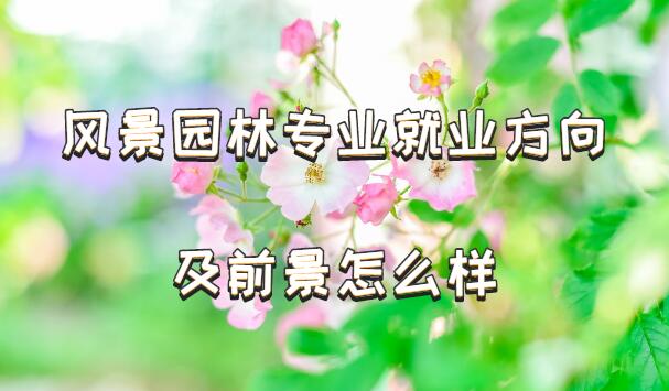 羰԰רҵҵǰô