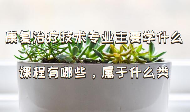 ƼרҵҪѧʲôγЩʲôࣿ