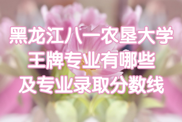 һũѴѧרҵЩרҵ¼ȡǶ