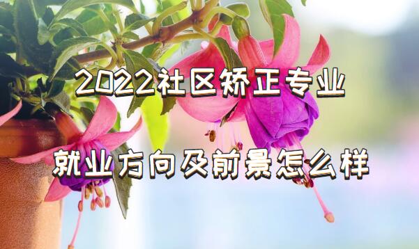 2023רҵҵǰô