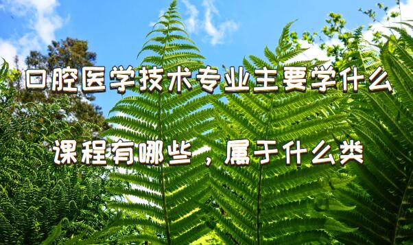 ǻҽѧרҵҪѧʲôγЩʲôࣿ