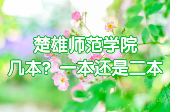 1650428255870188.png 楚雄师范学院几本?一本还是二本?(附云南省本科院校一览表)
