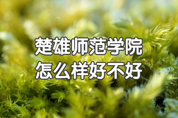 1650511200115759.png 楚雄师范学院怎么样好不好?(什么档次、王牌专业、院校口碑)