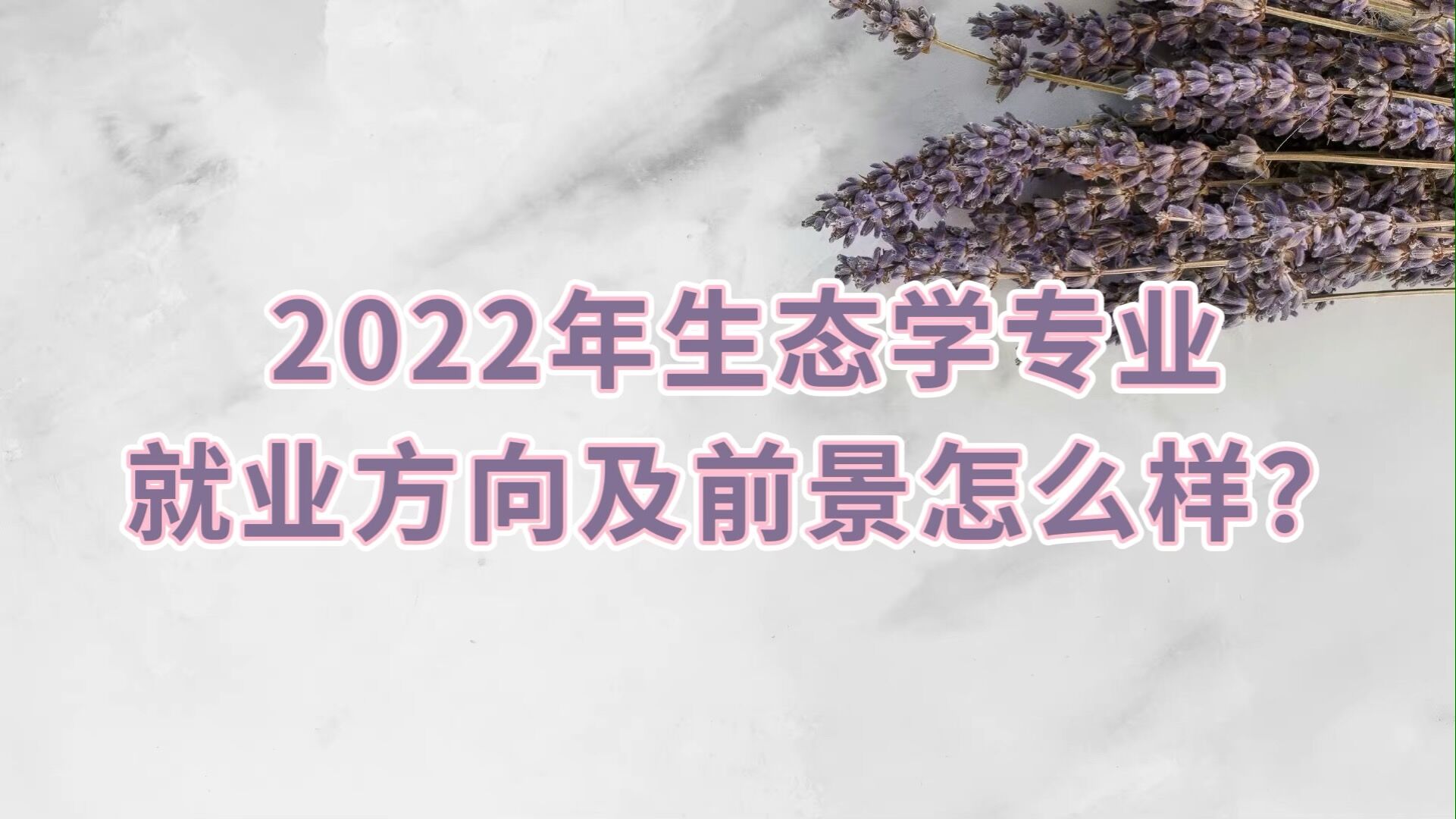 2023̬ѧרҵҵǰô