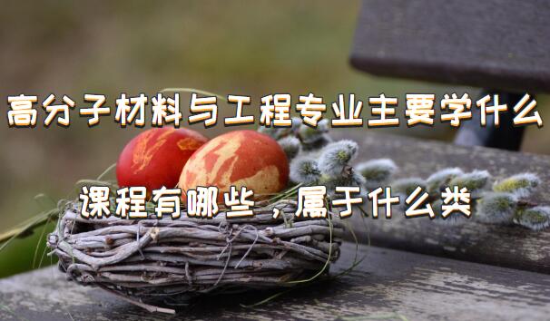 ߷Ӳ빤רҵҪѧʲôγЩʲôࣿ