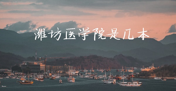 1650783440909907.jpg 潍坊医学院是几本?是一本还是二本(附山东省本科院校名单)