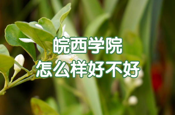 ����ѧԺ��ô���ò��ã���ʲô���Ρ�����רҵ��ԺУ�ڱ���